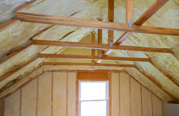 Best Eco-Friendly Insulation in Nacogdoches, TX