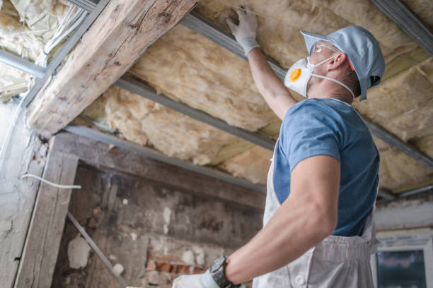 Best Blown-in Insulation in Nacogdoches, TX